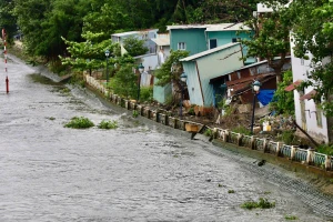 TP.HCM triển khai nhiều dự án kè sông để chống sạt lở