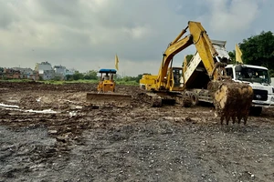 Xây dựng công viên Tân Chánh Hiệp tạo lá phổi xanh cho khu vực Tây Bắc TP.HCM