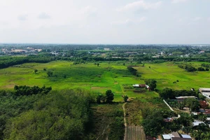 Tiến độ giải ngân vốn đầu tư công trên địa bàn TP.HCM ra sao?