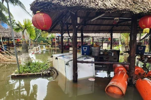 Mưa lớn kết hợp triều cường, người dân vùng trũng thấp TP.HCM khả năng chuẩn bị 'chạy' ngập