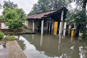 Ngày 5-12, triều cường đạt đỉnh cao ở TP.HCM