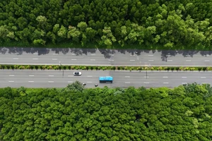 TP.HCM sắp thực hiện một số dự án có quy mô lớn