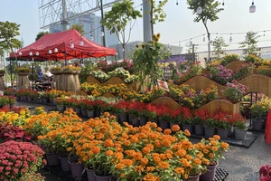 TP.HCM tận dụng đất trống, bỏ rào chắn 9 khu đất để làm công viên, vườn hoa phục vụ Tết