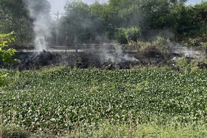 Xã Tân Vĩnh Lộc, TP.HCM xử phạt người lén đốt rác thải