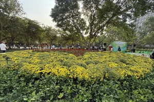 TP.HCM tiếp tục duy trì công viên, vườn hoa tạm trên đất trống chờ dự án
