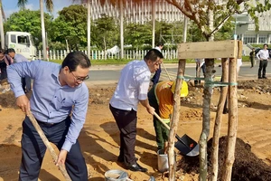 Trồng 230 cây xanh tại Khu đất quy hoạch Quảng trường sáng tạo, TP.HCM