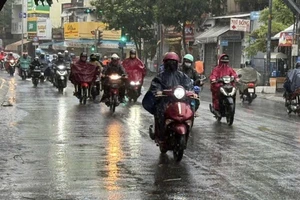 TP.HCM kiểm tra nhà ở, chung cư cũ, công trình dân dụng trong mùa mưa