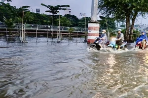 TP.HCM xây dựng kịch bản chống ngập và xử lý nước thải