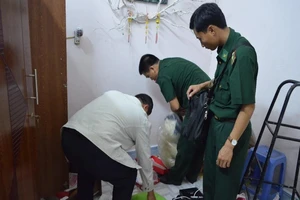 Bị bắt vì mang 400.000 USD thắng bạc ở Campuchia về VN 