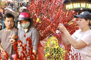 Chợ hoa Hồ Thị Kỷ nhộn nhịp về đêm 