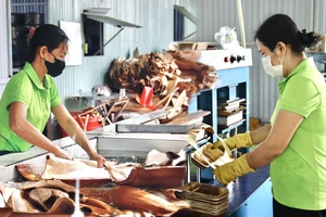 Độc đáo: Biến mo cau thành chén, dĩa xuất khẩu 