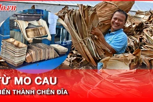 Video: Biến mo cau thành chén dĩa xuất khẩu 