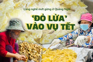 Làng nghề mứt gừng nức tiếng Quảng Ngãi đỏ lửa vào vụ tết