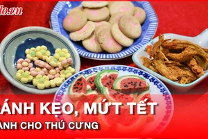 Video: Độc đáo các loại bánh kẹo, mứt tết dành cho thú cưng 