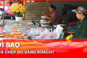 Cá chép đỏ vắng khách trước ngày ông Công ông Táo 'chầu trời'