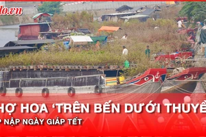 Video: Thuyền hoa tấp nập cập bến Bình Đông, người dân TP.HCM rộn ràng sắm Tết