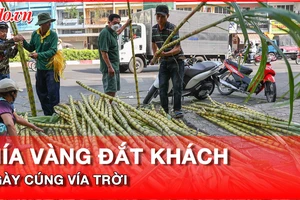 Mía vàng đắt khách trước ngày cúng vía Ngọc Hoàng mùng 9 tháng Giêng