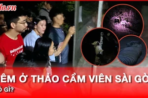 Trải nghiệm về đêm có 1-0-2 tại Thảo Cầm Viên Sài Gòn 