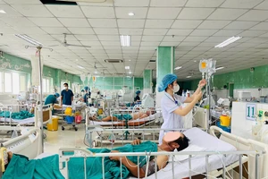 2 cha con nhập viện nghi ngộ độc botulinum sau ăn cá chua tự làm
