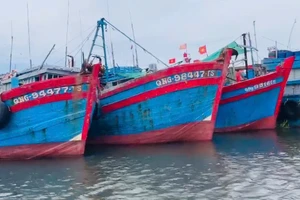 4 thuyền trưởng ở Quảng Ngãi bị xử phạt gần 900 triệu đồng