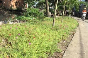 Dân có thể nhắn tin phản ánh tình trạng xả rác