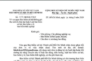 Giả email BHXH TP.HCM tổ chức tập huấn thu phí