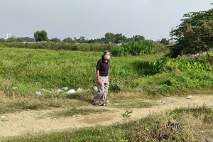 Ông Nguyễn Tấn Vinh luôn trông ngóng được giao đất đã hoán đổi. Ảnh: VÕ HÀ