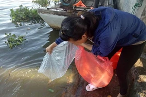 Một người dân đang thả bịch cá xuống sông. Ảnh: Trúc Phương