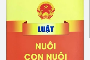 Người nhận con nuôi phải có năng lực hành vi dân sự đầy đủ, hơn con nuôi từ 20 tuổi trở lên. Ảnh: NH