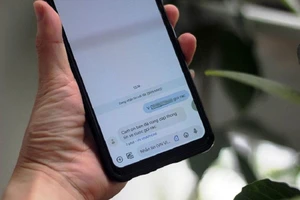 Sau khi gửi tin nhắn về cuộc gọi rác, hệ thống sẽ báo lại thông tin ghi nhận. Ảnh: VT