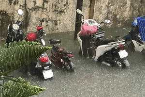 Một công ty dịch vụ công ích nợ 3 năm tiền phí quản lý chung cư