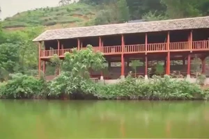 Chủ tịch Hà Nội giao công an kiểm tra thông tin ‘biến hóa đất khai hoang’