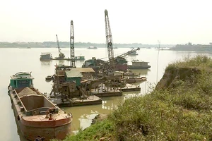 Lượng cát hút trộm giá vài chục triệu nhưng bị phạt hơn 1,3 tỷ đồng