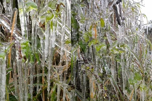 Băng giá tại huyện biên giới Hà Giang, chủ động chống rét cho người và vật nuôi