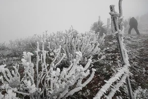 Băng tuyết phủ trắng đỉnh Mẫu Sơn