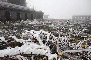 Băng tuyết tan, đường lên đỉnh Mẫu Sơn không còn ùn tắc 