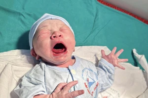 Phú Thọ đón những em bé 'Rồng vàng’ đầu tiên của năm mới