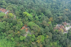 Toàn cảnh đền Hùng trước ngày Giỗ Tổ, đẹp đến nao lòng