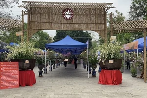 Chậu lan khổng lồ 'con Lạc - cháu Hồng' ở đền Hùng, phải cắt cử bảo vệ đứng canh