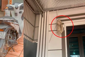 Kẻ xấu cắt khóa, 'bịt mắt' camera giám sát trộm xe SH