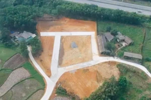 Công an Phú Thọ tìm bị hại trong vụ gom đất nông nghiệp phân lô bán nền