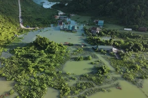 Sinh con trên xuồng giữa mênh mông nước lũ