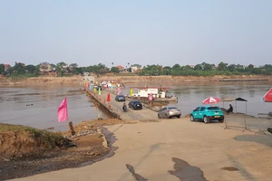 Cầu phao Phong Châu tạm dừng hoạt động do nước sông Hồng lên cao