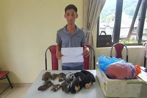 Công an truy bắt 1 phụ nữ cầm đầu đường dây mua bán động vật nguy cấp quý hiếm