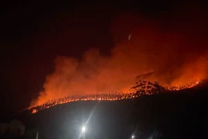 Đang cháy rừng sản xuất ở Vĩnh Phúc