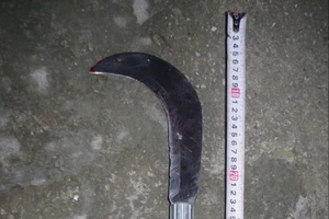 Tạm giữ hình sự nghi phạm sát hại mẹ vợ