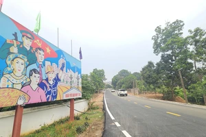 Từ cầu phao Phong Châu đến 'đường quân dân' bên sông Hồng