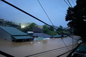 Tuyên Quang: Nước ngập chạm nóc nhà, sắp vượt mức lũ lịch sử