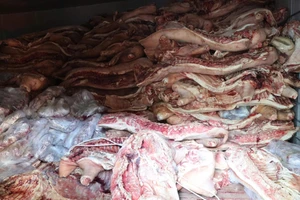 Bắt tạm giam chủ cơ sở trữ gần 38 tấn thịt lợn nhiễm dịch tả để bán kiếm lời