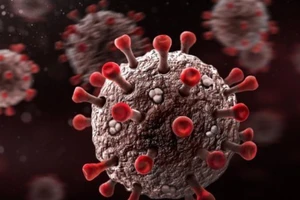 Một nghiên cứu mới do các nhà khoa học tại Đại học Duke tiến hành cho thấy một nạn dịch lớn như COVID-19 có thể quay trở lại trong vòng 60 năm tới.